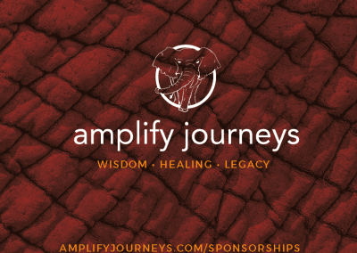 Amplify Journeys