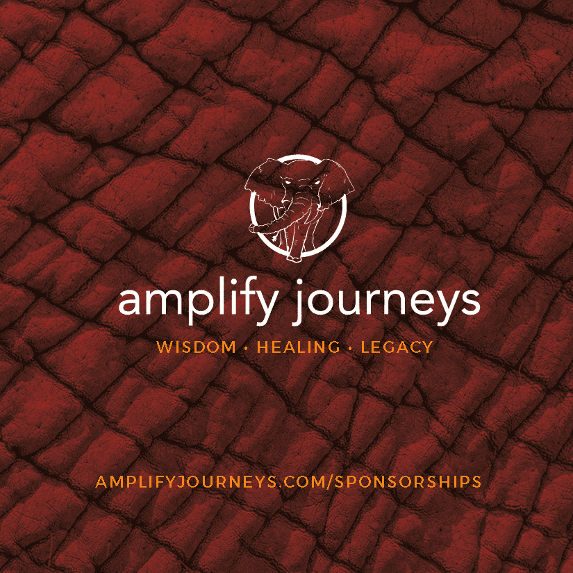 Amplify Journeys